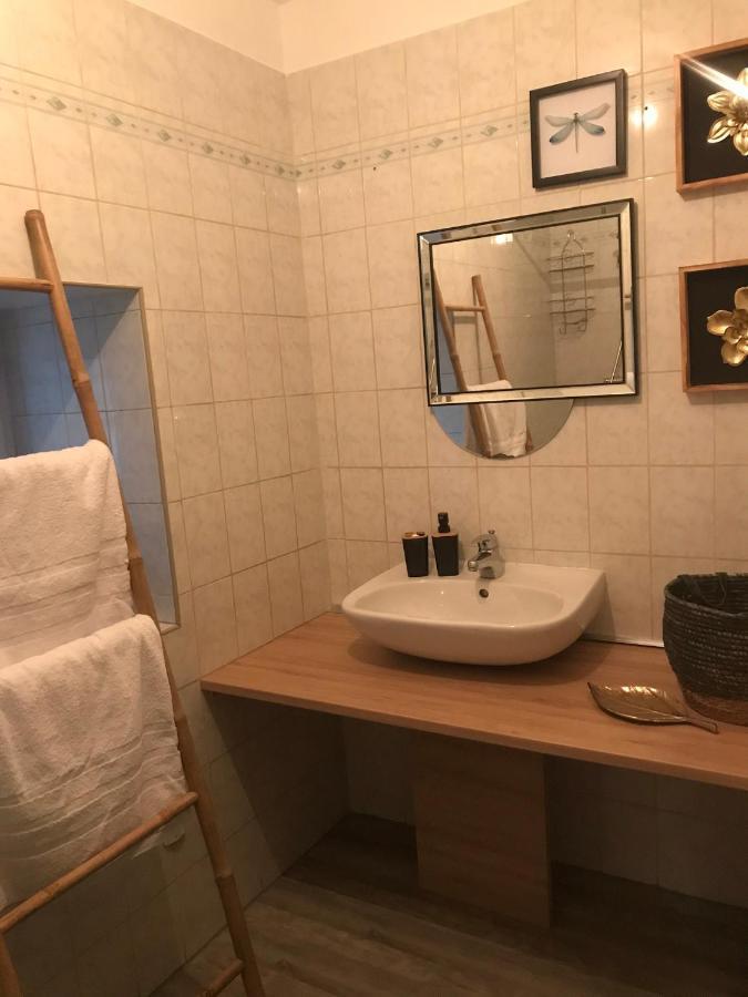 Appartement Cosy Le Safari Avec Wifi Annonay Exterior photo