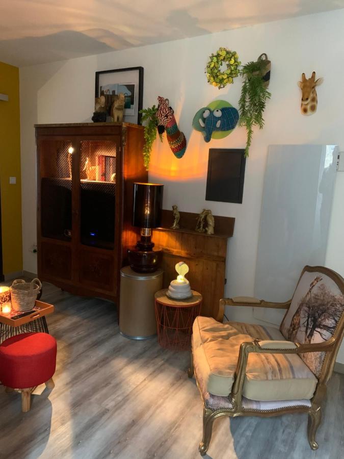 Appartement Cosy Le Safari Avec Wifi Annonay Exterior photo